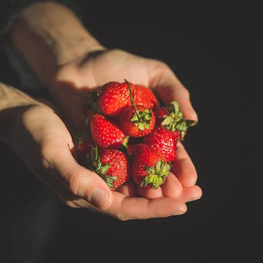 Sağlılklı Beslenme Nedir?